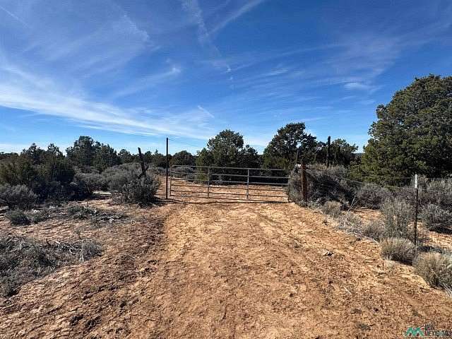40 Acres of Recreational Land for Sale in Vanderwagen, New Mexico