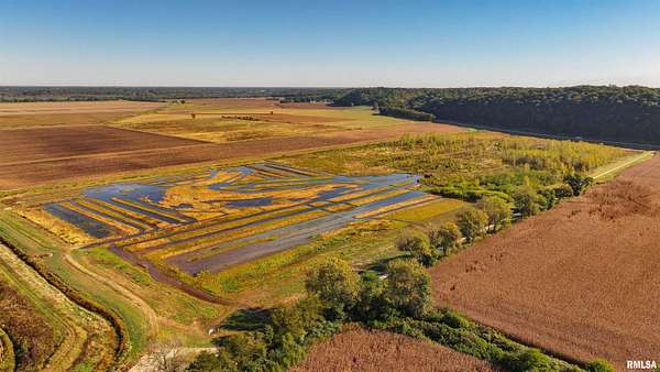 91 Acres of Land for Sale in Eldred, Illinois