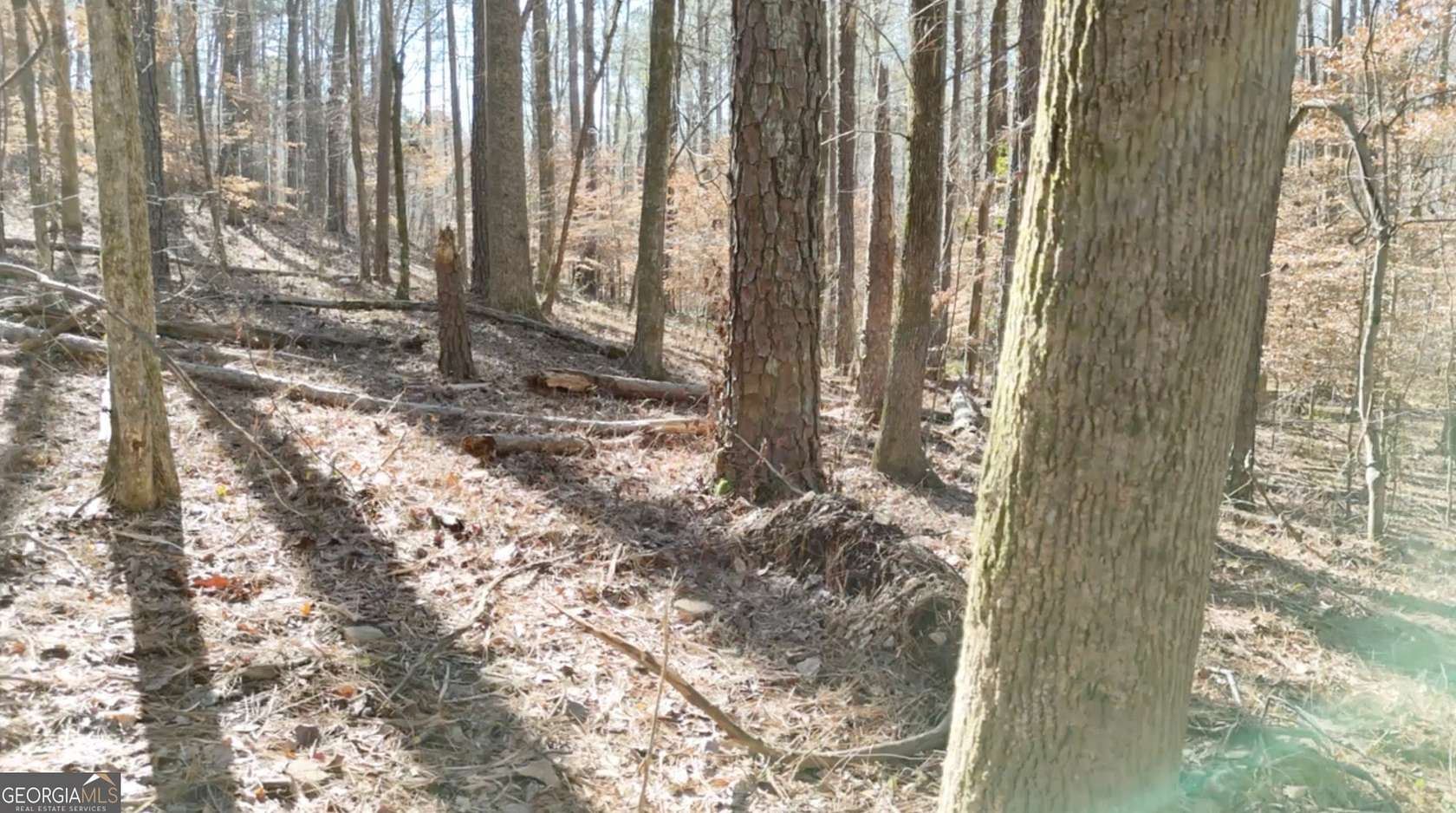 10.3 Acres of Land for Sale in Acworth, Georgia