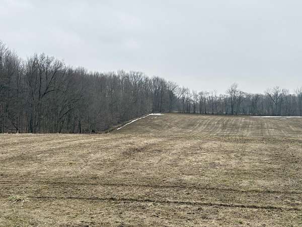 12.5 Acres of Land for Sale in Buchanan, Michigan