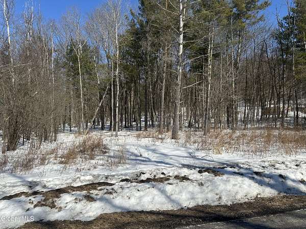 0.77 Acres of Residential Land for Sale in Clarksville, New York