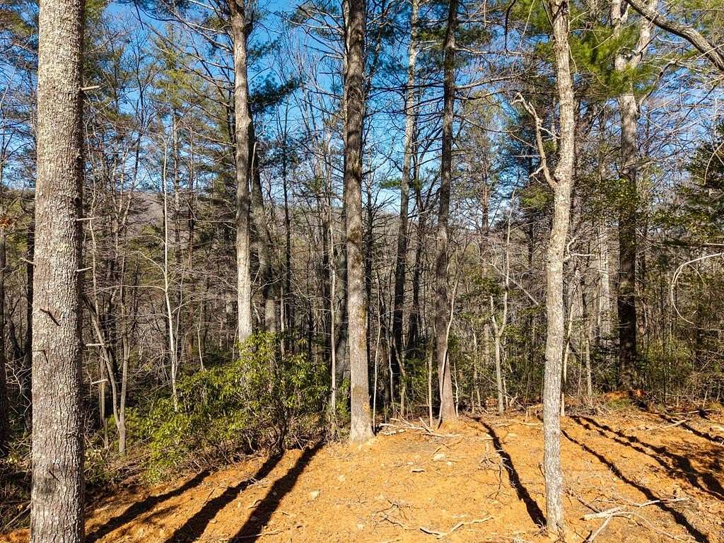 1.16 Acres of Land for Sale in Blairsville, Georgia