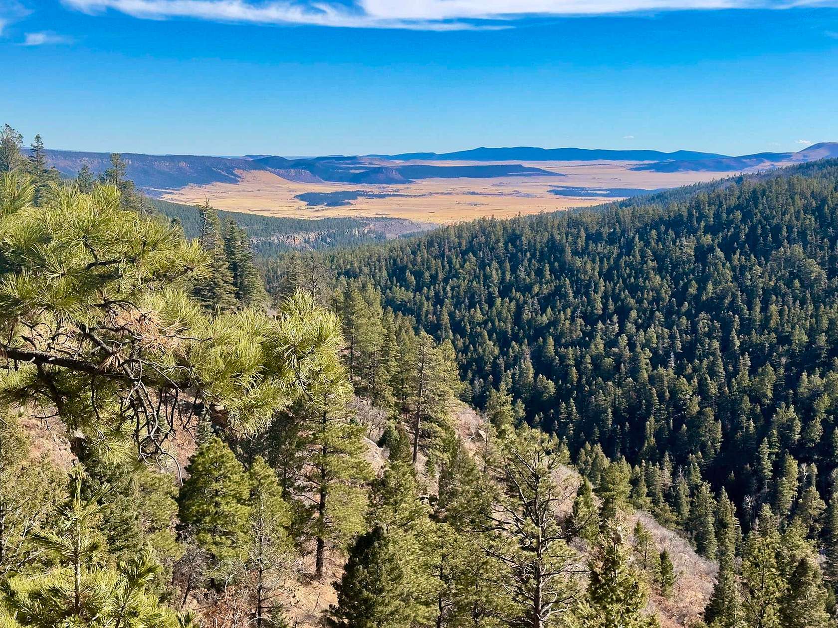 1,026 Acres of Land for Sale in Angel Fire, New Mexico