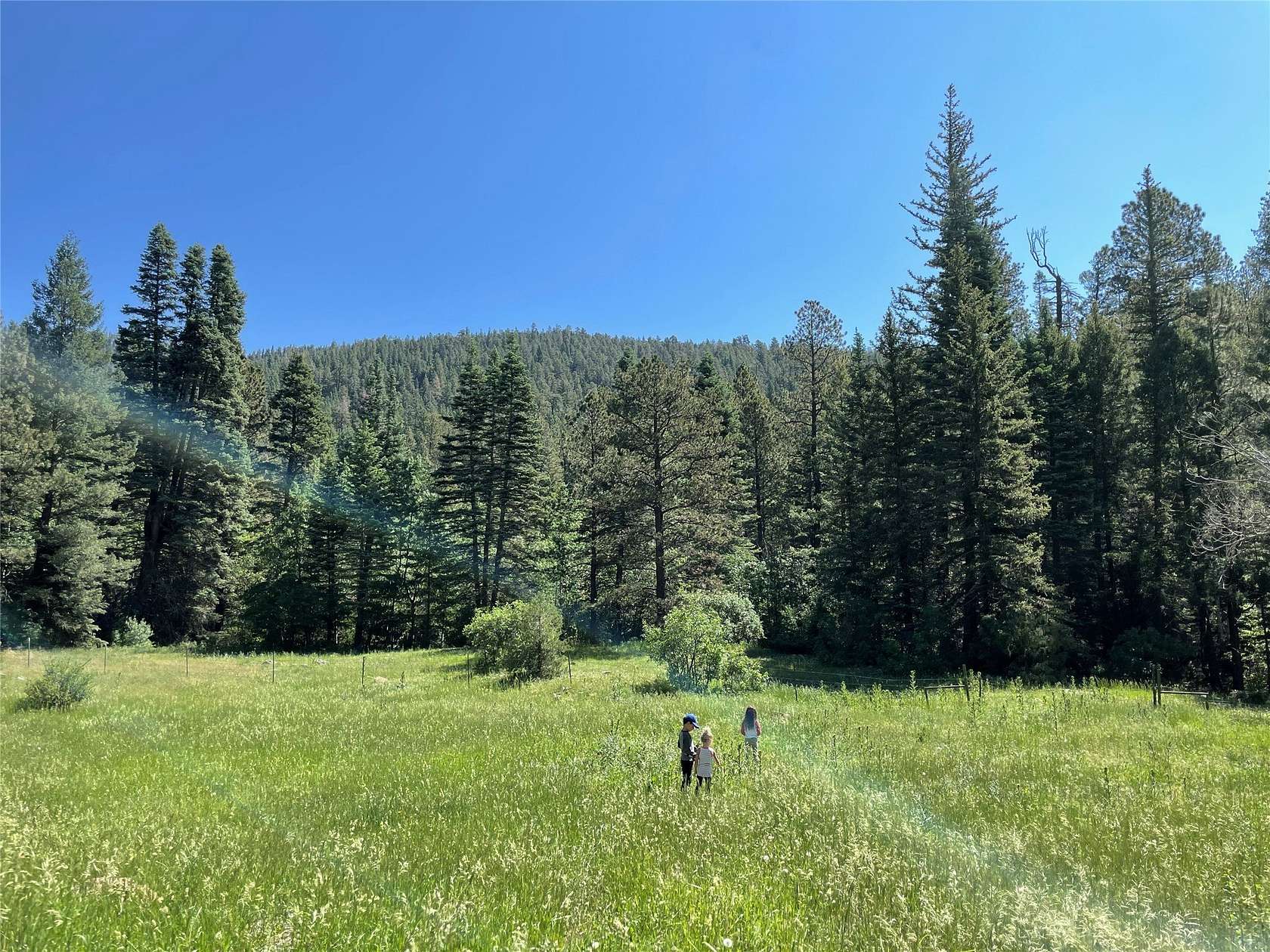 1,026 Acres of Recreational Land for Sale in Ocate, New Mexico