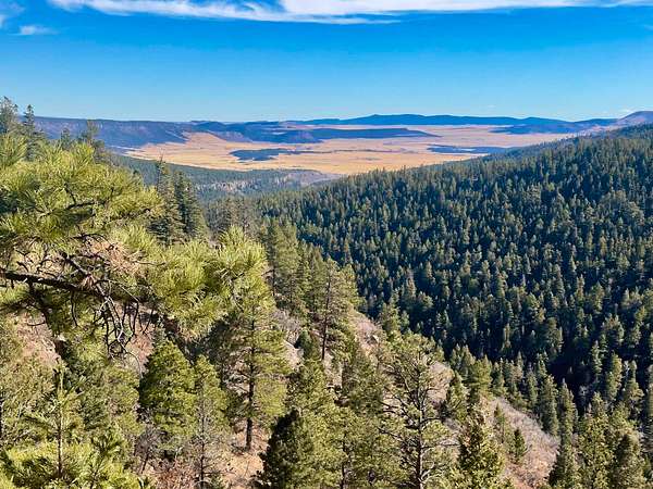 1,026 Acres of Land for Sale in Angel Fire, New Mexico
