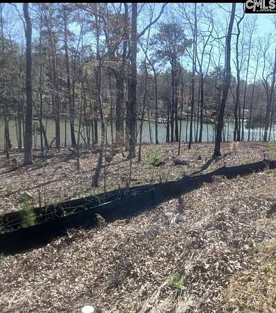 0.32 Acres of Residential Land for Sale in Chapin, South Carolina