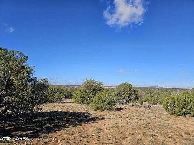 10 Acres of Recreational & Residential Land for Sale in Heber, Arizona