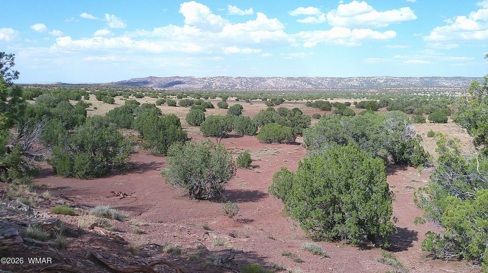 10 Acres of Residential Land for Sale in Concho, Arizona