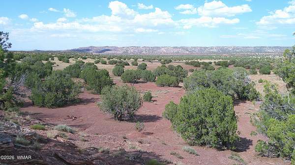 10 Acres of Residential Land for Sale in Concho, Arizona