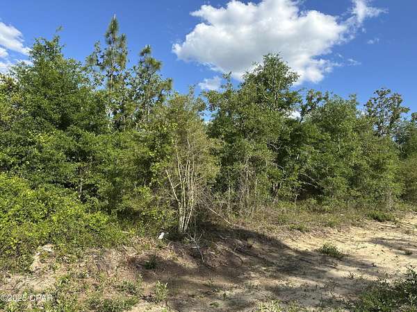 0.52 Acres of Residential Land for Sale in Altha, Florida