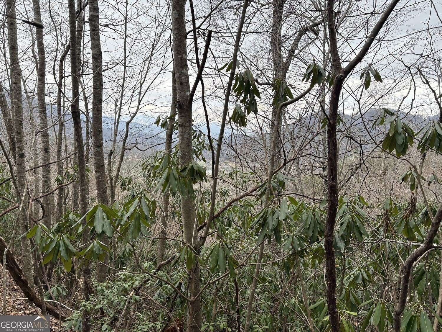 2.75 Acres of Residential Land for Sale in Mountain City, Georgia
