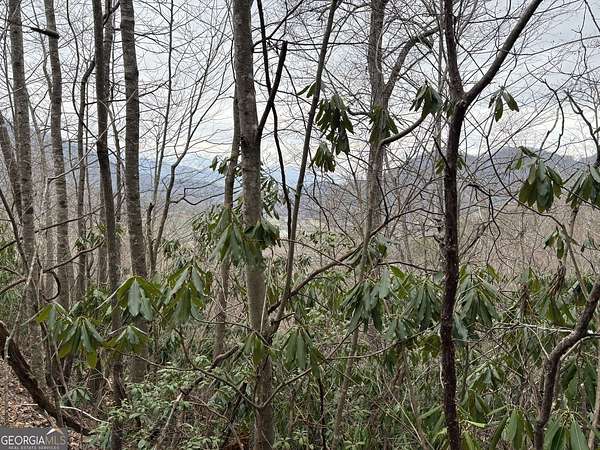 2.75 Acres of Residential Land for Sale in Mountain City, Georgia