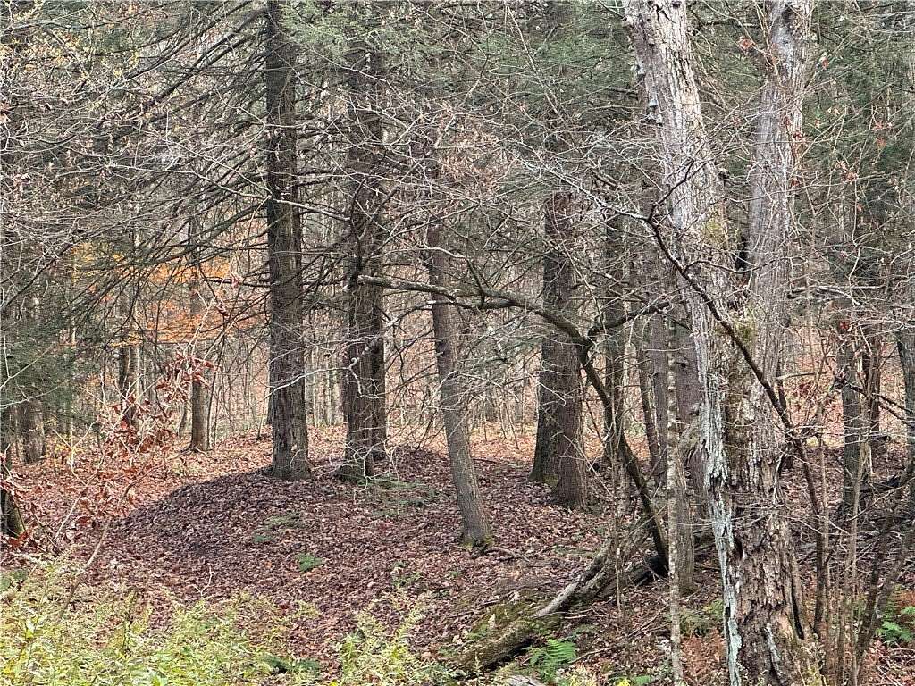 25 Acres of Recreational Land for Sale in Lockwood, New York