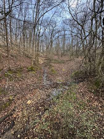 63 Acres of Land for Sale in Williamsport, Tennessee