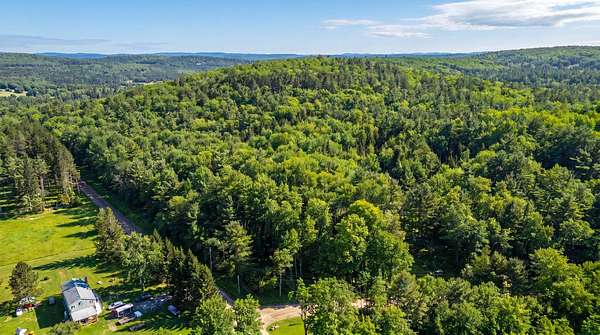 37.2 Acres of Recreational & Residential Land for Sale in Hartwick, New York