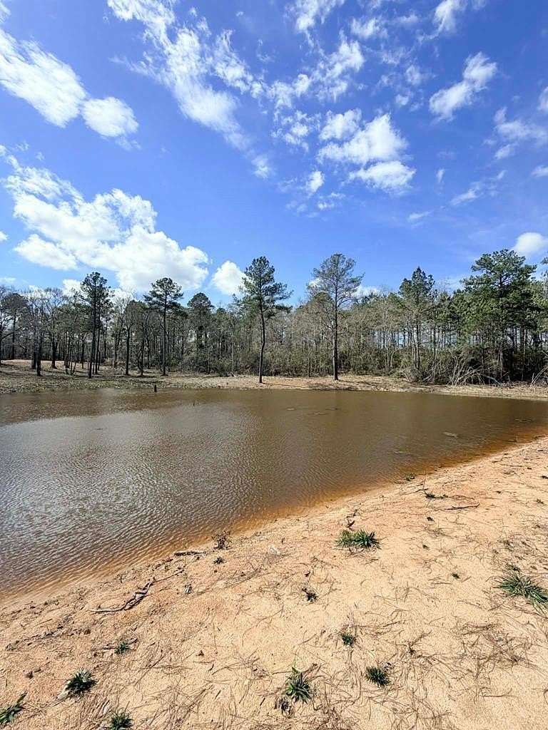 45 Acres of Recreational & Residential Land for Sale in Poplarville, Mississippi