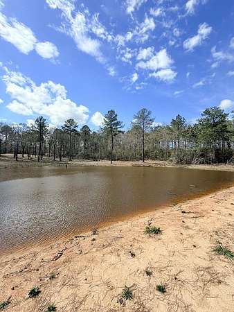 45 Acres of Recreational & Residential Land for Sale in Poplarville, Mississippi