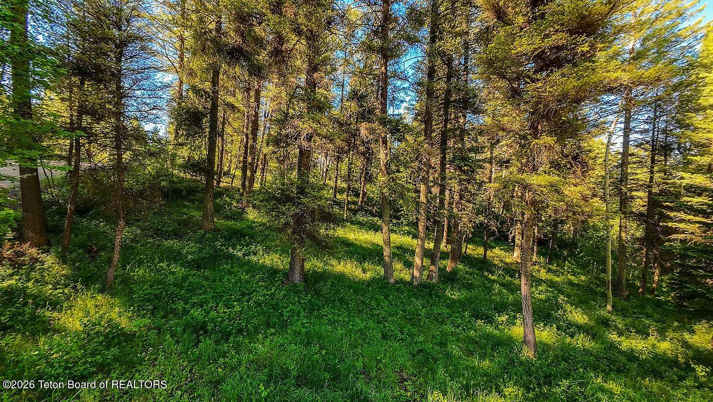 0.4 Acres of Residential Land for Sale in Star Valley Ranch, Wyoming