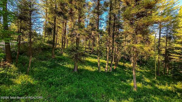 0.4 Acres of Residential Land for Sale in Star Valley Ranch, Wyoming