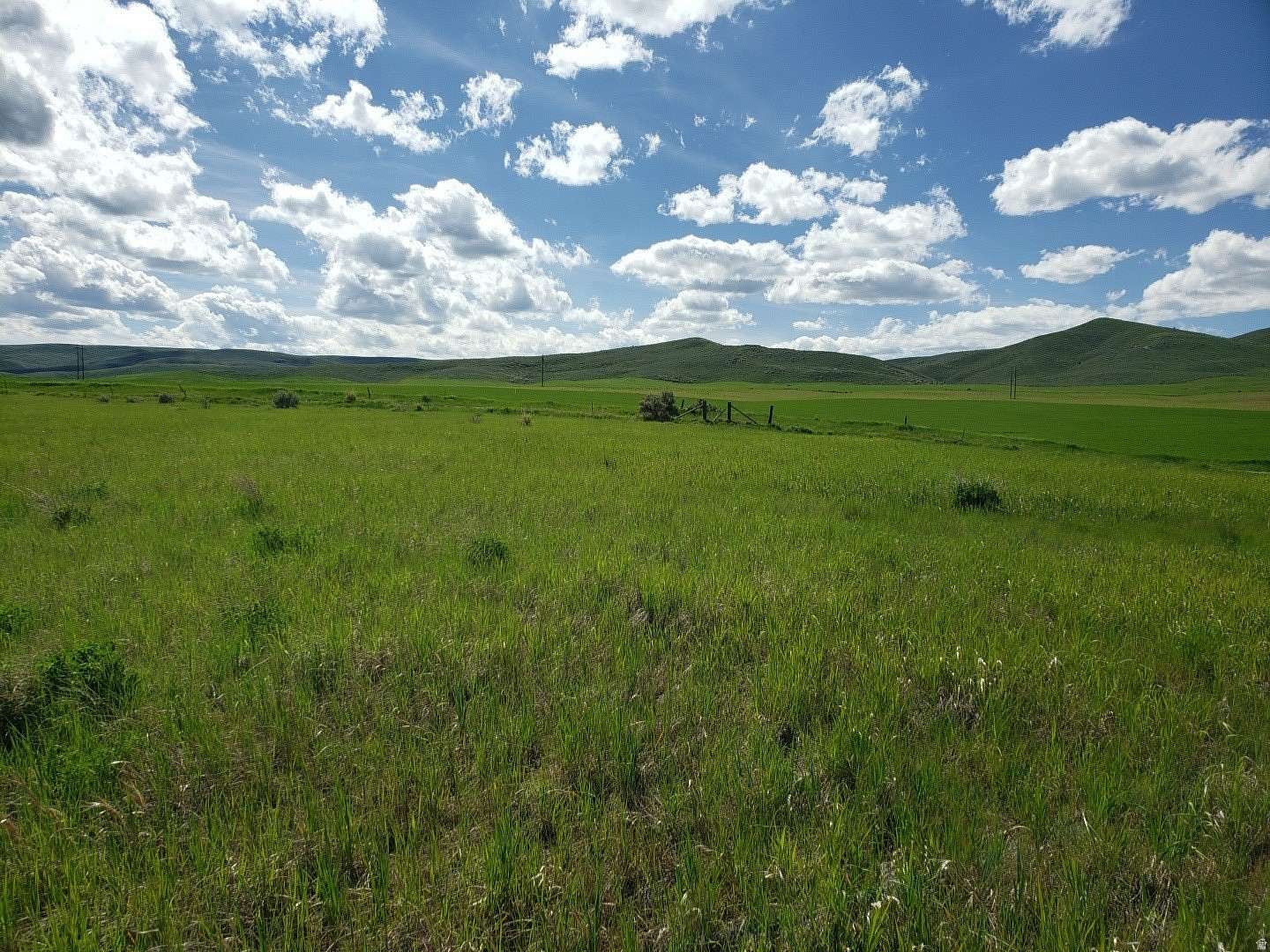 5 Acres of Residential Land for Sale in Bern, Idaho