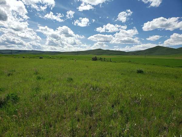 5 Acres of Residential Land for Sale in Bern, Idaho