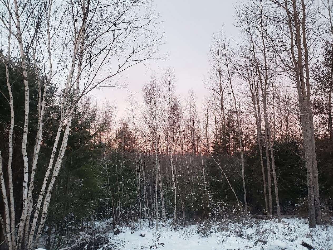 8 Acres of Land for Sale in Enfield, Maine