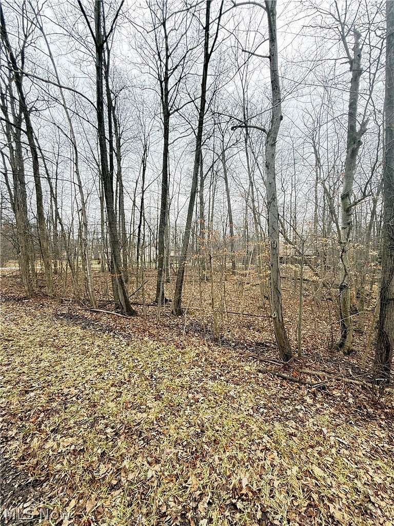 0.23 Acres of Land for Sale in West Salem, Ohio