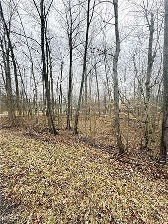 0.23 Acres of Land for Sale in West Salem, Ohio