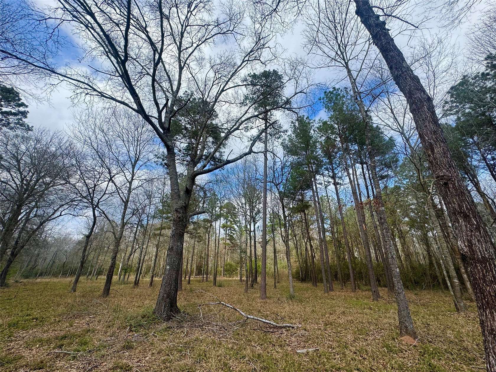 3 Acres of Residential Land for Sale in Huntsville, Texas