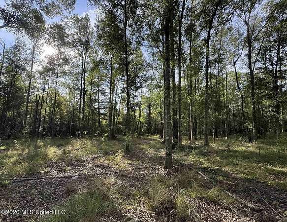 81 Acres of Recreational & Residential Land for Sale in Canton, Mississippi