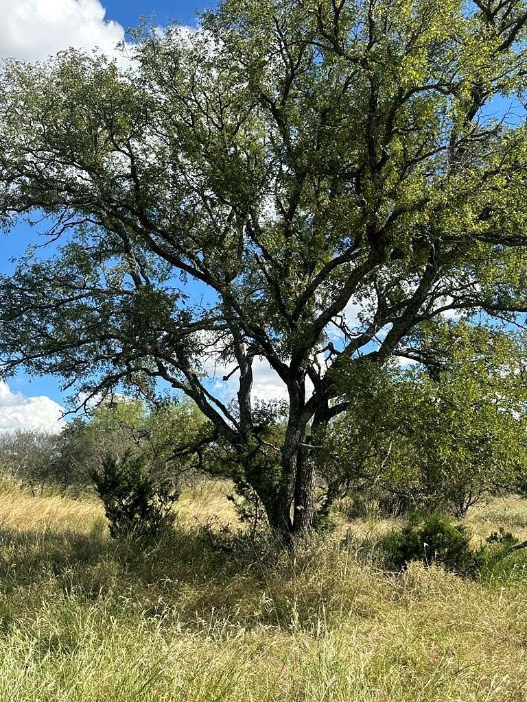 10 Acres of Residential Land for Sale in Mason, Texas