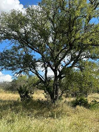 10 Acres of Residential Land for Sale in Mason, Texas