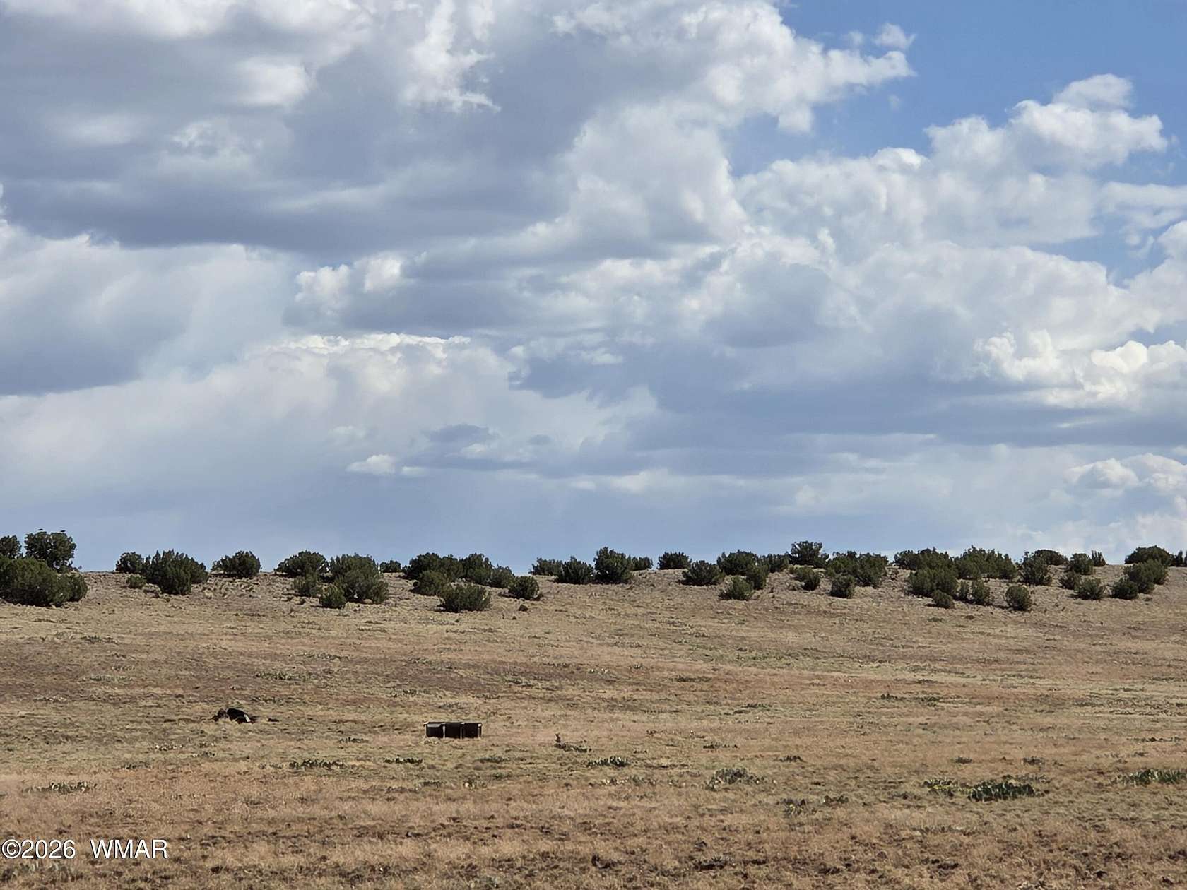 74 Acres of Land for Sale in Concho, Arizona