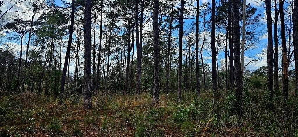 9.47 Acres of Mixed-Use Land for Sale in Poplarville, Mississippi