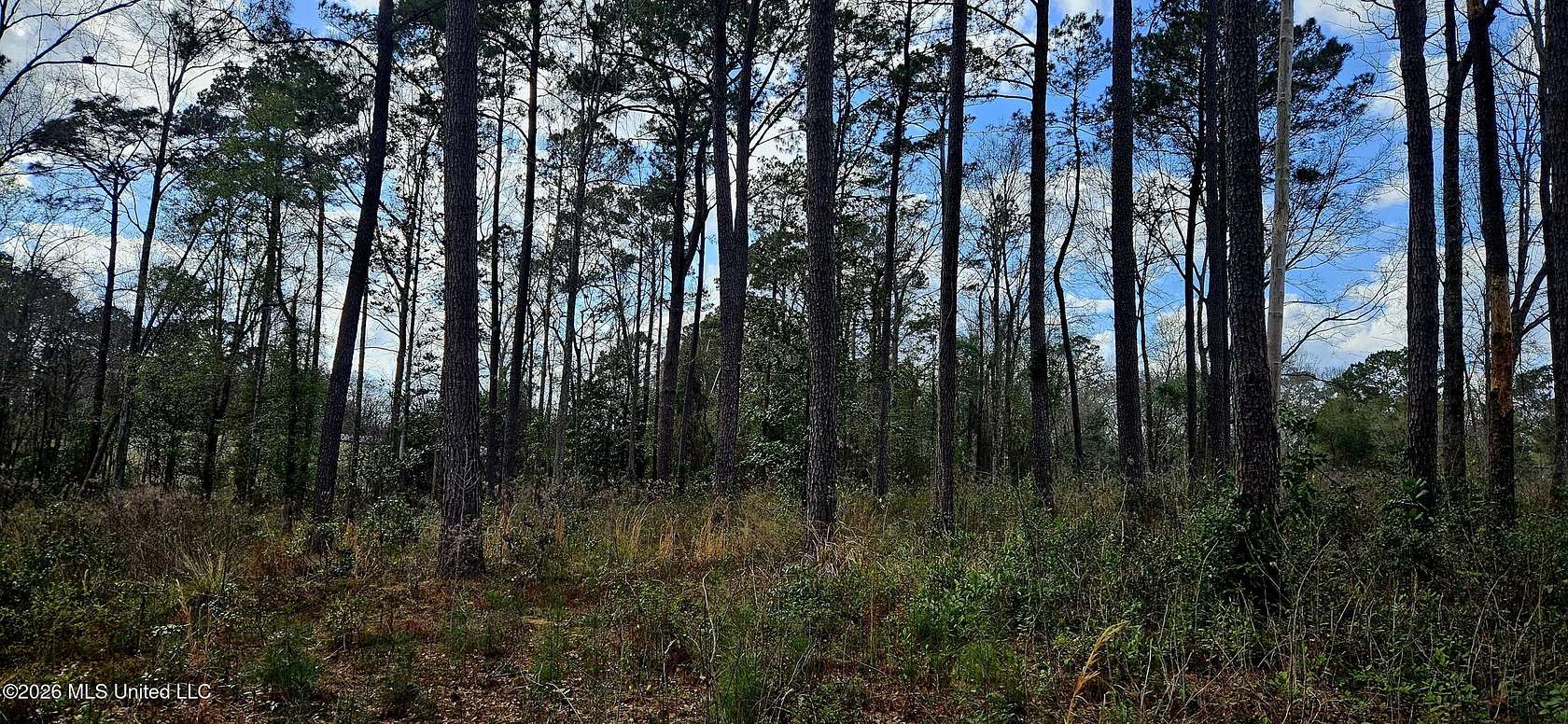 9.47 Acres of Mixed-Use Land for Sale in Poplarville, Mississippi