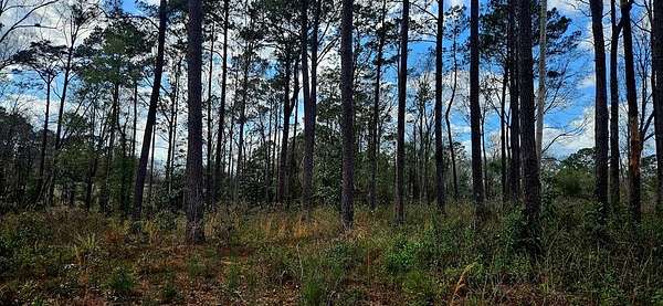 9.47 Acres of Mixed-Use Land for Sale in Poplarville, Mississippi