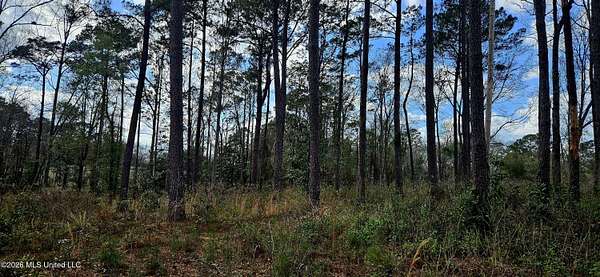 9.47 Acres of Mixed-Use Land for Sale in Poplarville, Mississippi