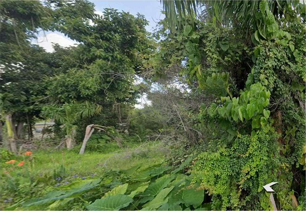 0.08 Acres of Residential Land for Sale in North Fort Myers, Florida