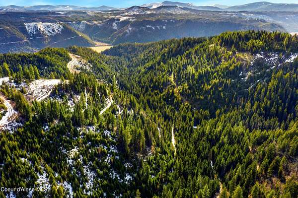 36.3 Acres of Recreational & Residential Land for Sale in St. Maries, Idaho