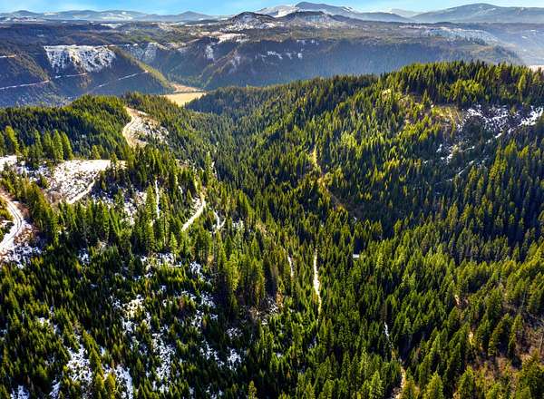 36.3 Acres of Agricultural Land for Sale in St. Maries, Idaho