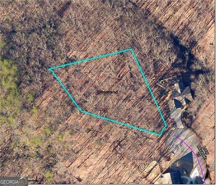 1 Acre of Residential Land for Sale in Cleveland, Georgia