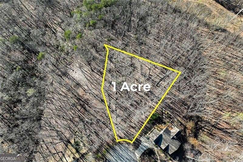 1 Acre of Residential Land for Sale in Cleveland, Georgia