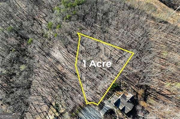 1 Acre of Residential Land for Sale in Cleveland, Georgia
