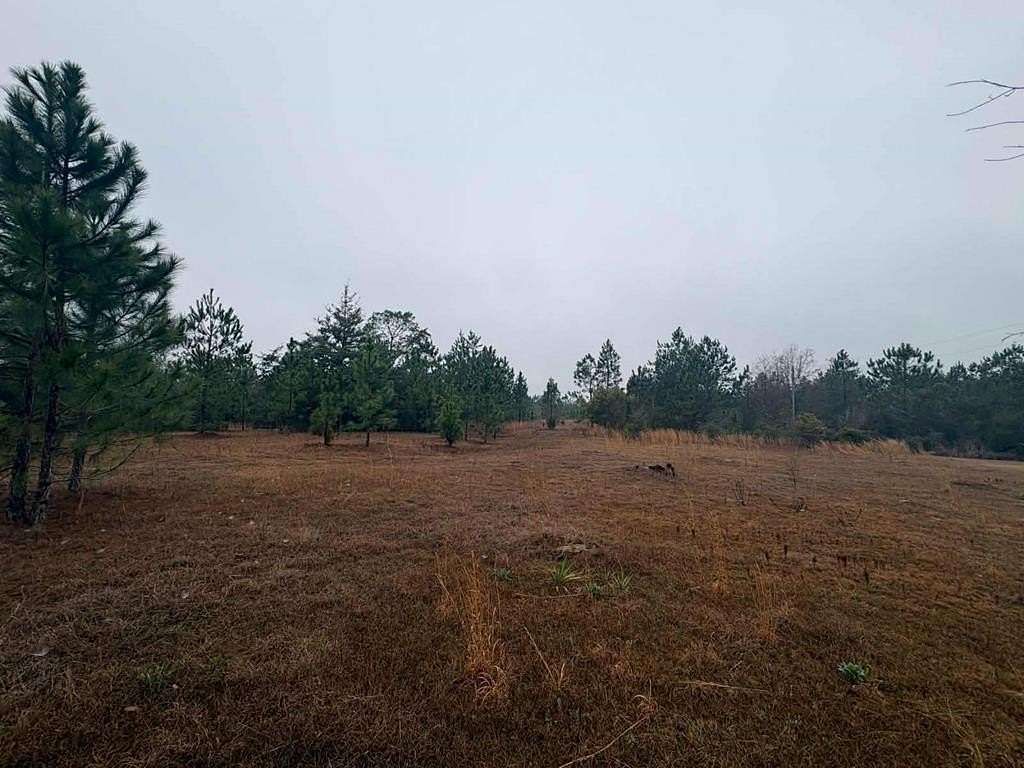 17.4 Acres of Land for Sale in Baxley, Georgia