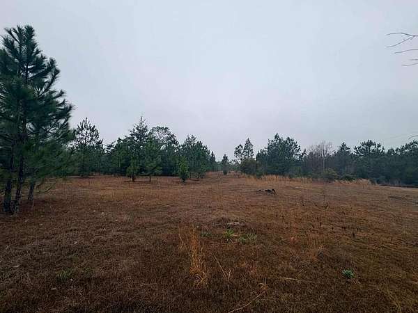 17.4 Acres of Land for Sale in Baxley, Georgia