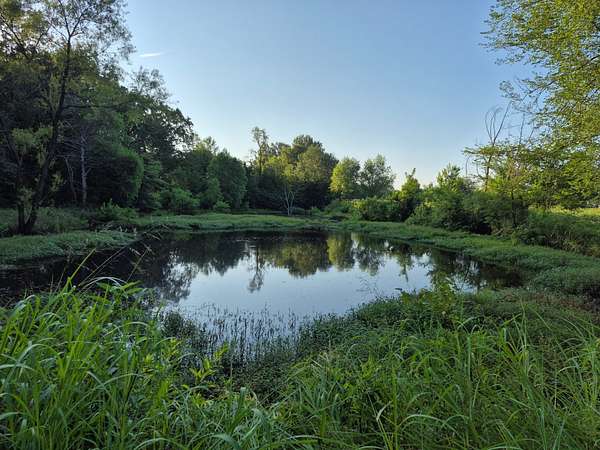 20.4 Acres of Land for Sale in Paris, Texas