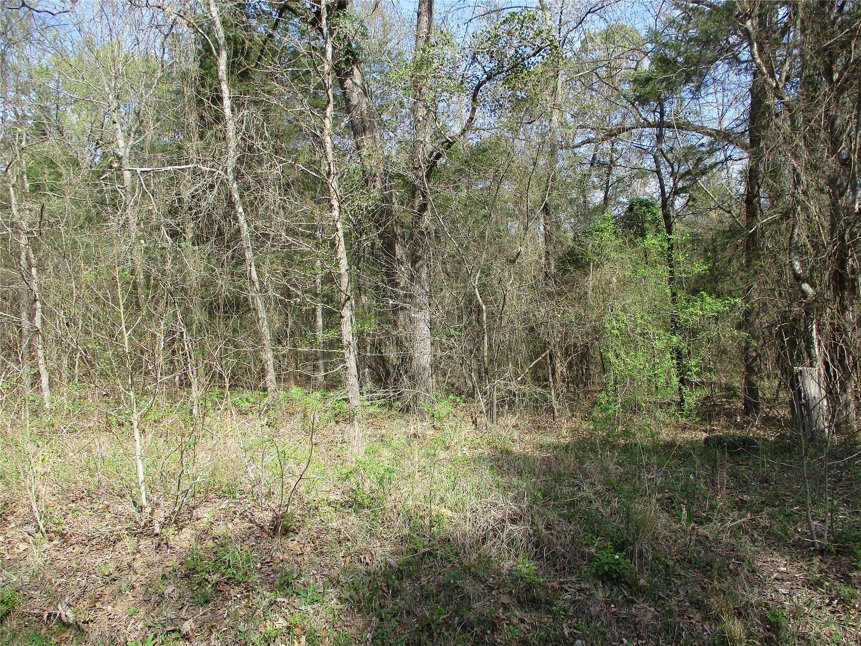 6.1 Acres of Residential Land for Sale in Alba, Texas