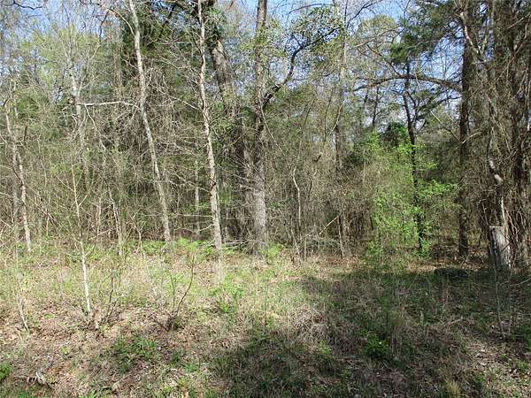 6.1 Acres of Residential Land for Sale in Alba, Texas