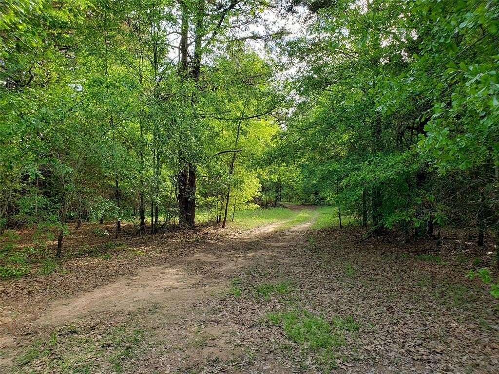 63.6 Acres of Land with Home for Sale in Rusk, Texas
