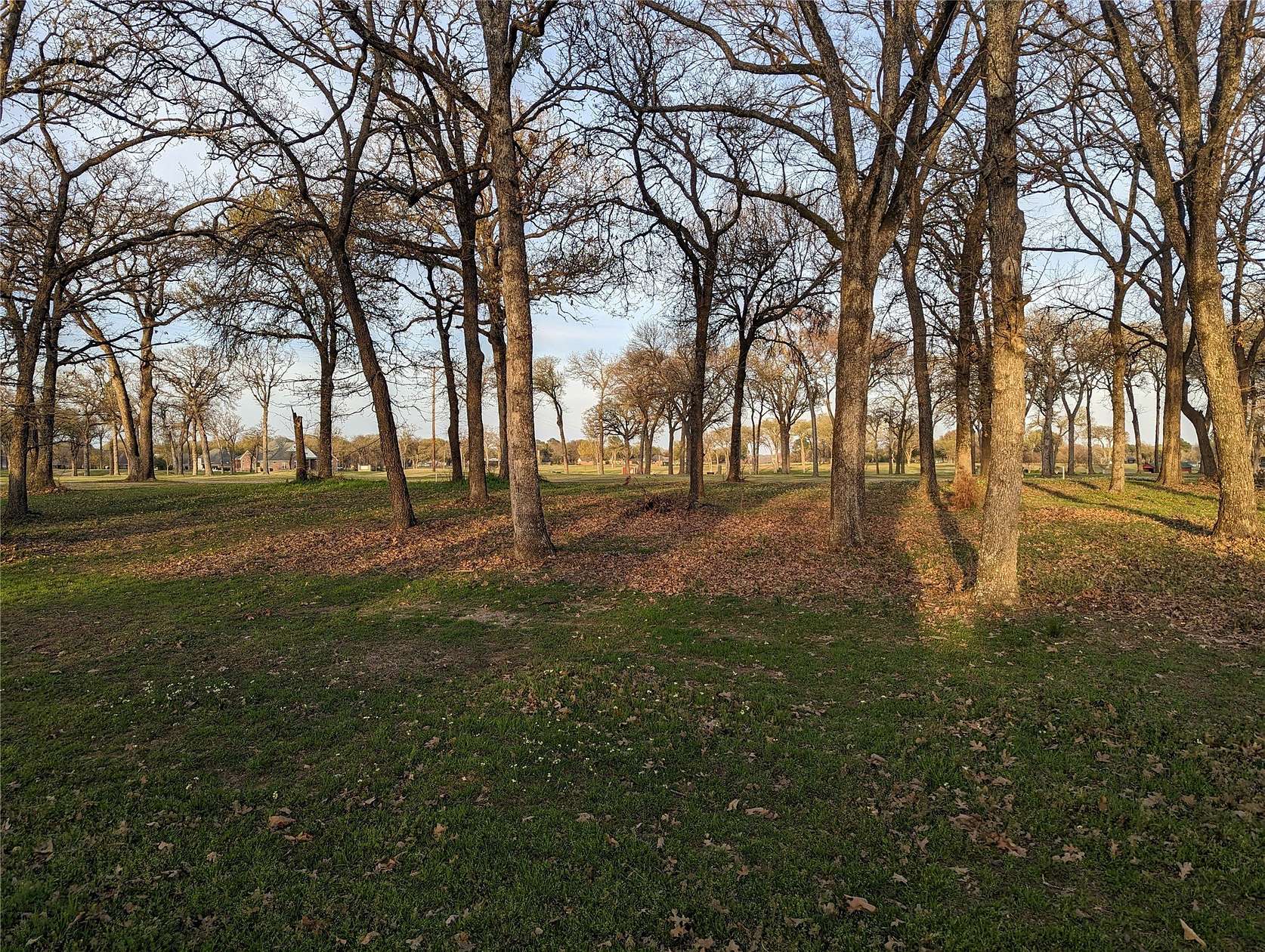 0.37 Acres of Residential Land for Sale in Kemp, Texas